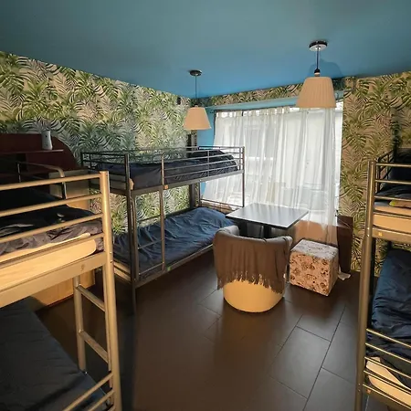 Trojkaty I Kwadraty Częstochowa